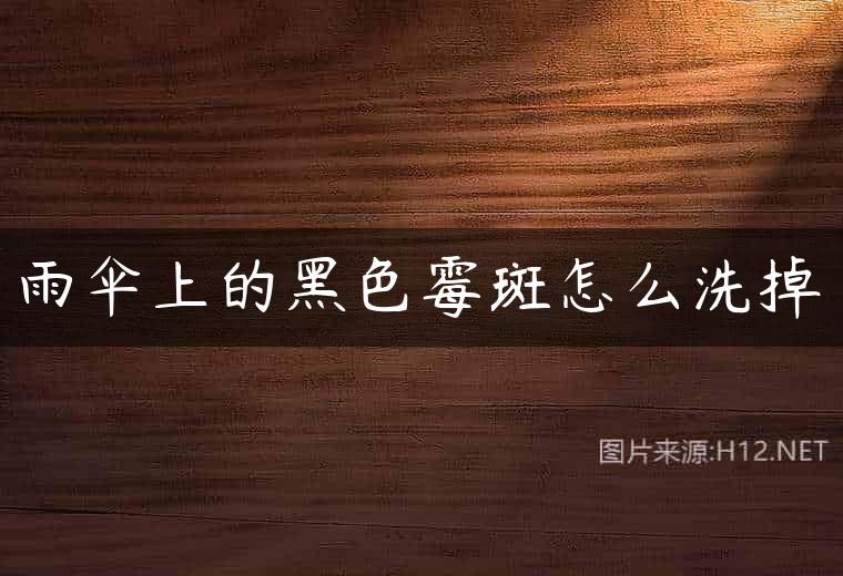 雨伞上的黑色霉斑怎么洗掉