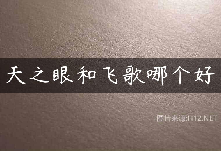 天之眼和飞歌哪个好