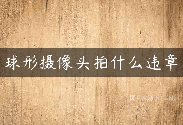 球形摄像头拍什么违章
