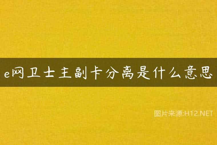 e网卫士主副卡分离是什么意思