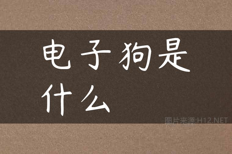 电子狗是什么