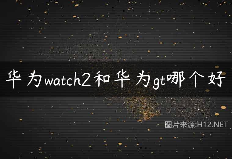 华为watch2和华为gt哪个好