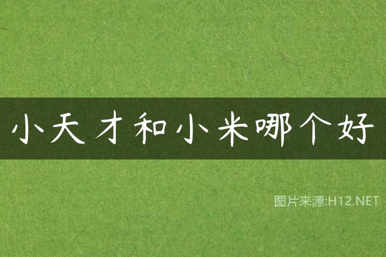 小天才和小米哪个好