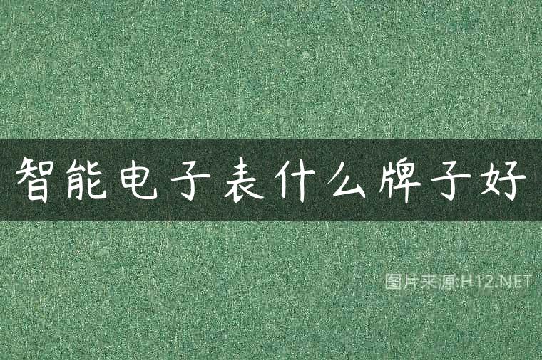 智能电子表什么牌子好
