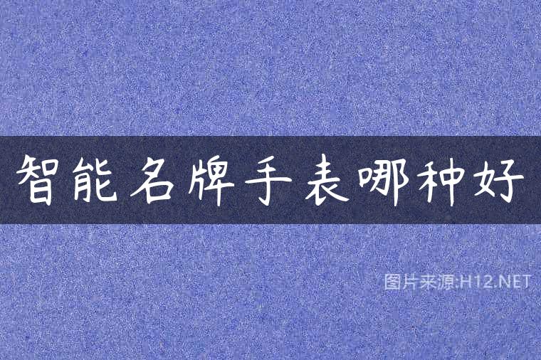 智能名牌手表哪种好