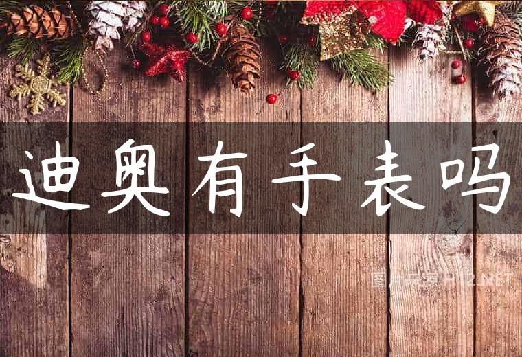 迪奥有手表吗