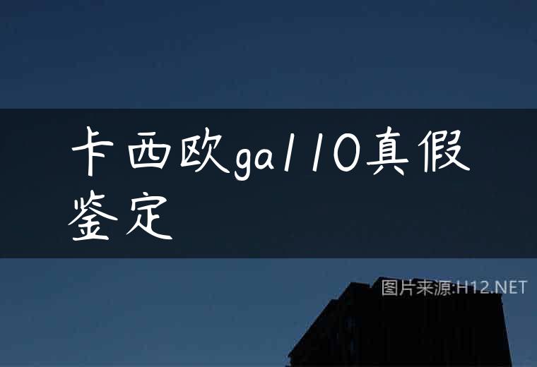 卡西欧ga110真假鉴定