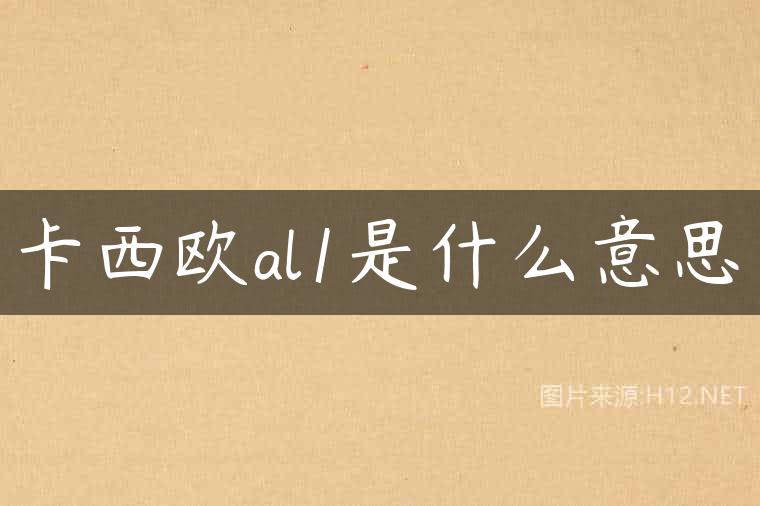 卡西欧al1是什么意思
