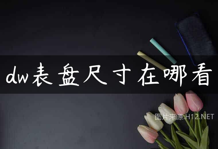 dw表盘尺寸在哪看