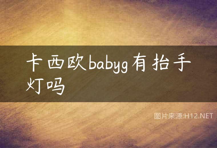 卡西欧babyg有抬手灯吗