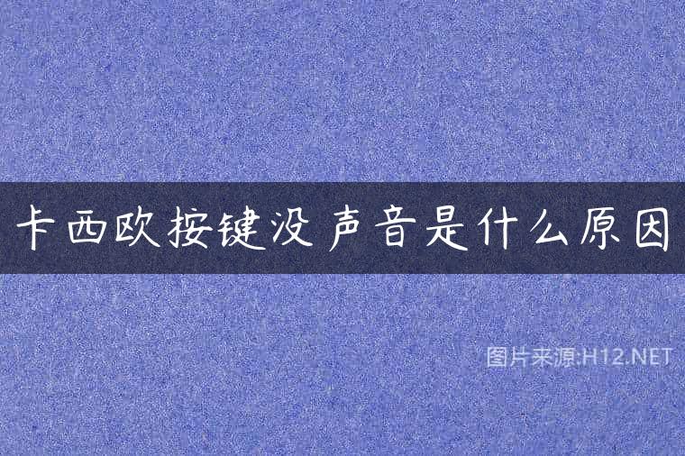 卡西欧按键没声音是什么原因