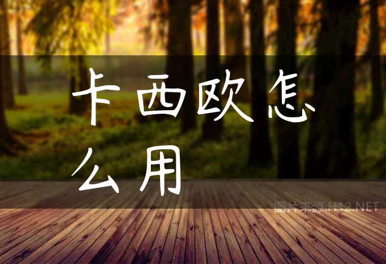 卡西欧怎么用