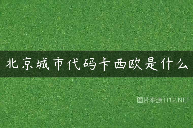 北京城市代码卡西欧是什么