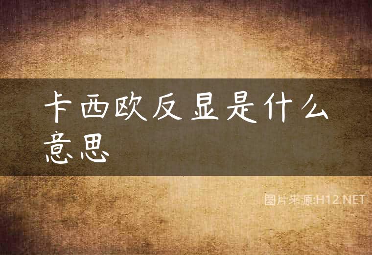 卡西欧反显是什么意思
