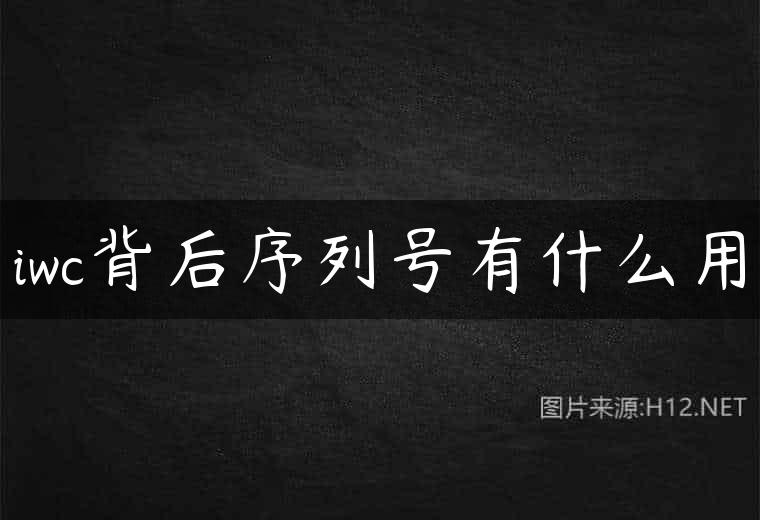 iwc背后序列号有什么用
