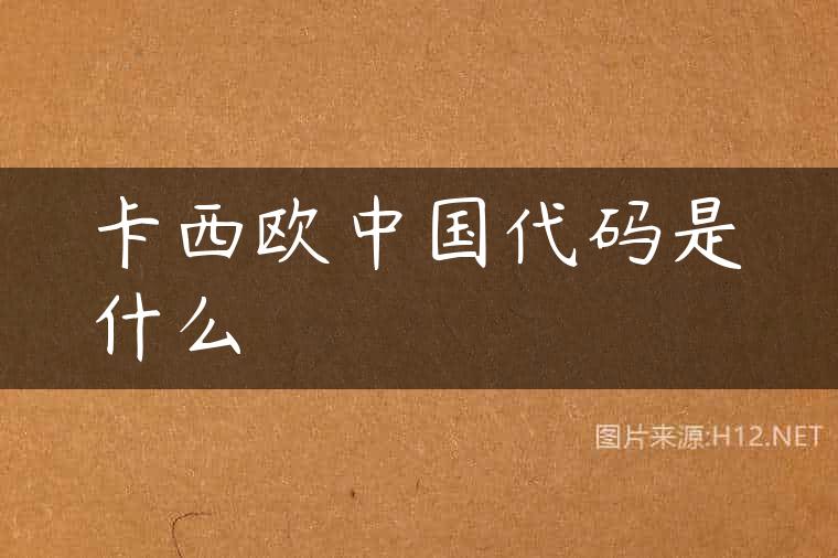 卡西欧中国代码是什么