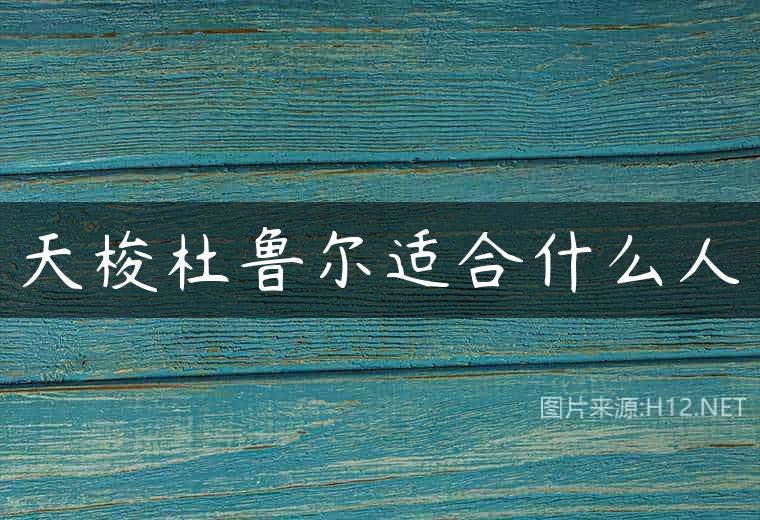 天梭杜鲁尔适合什么人