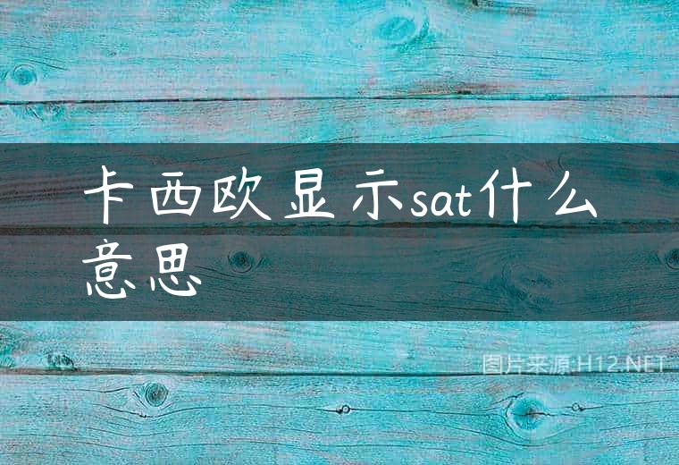 卡西欧显示sat什么意思