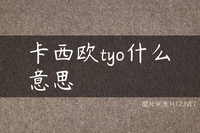 卡西欧tyo什么意思