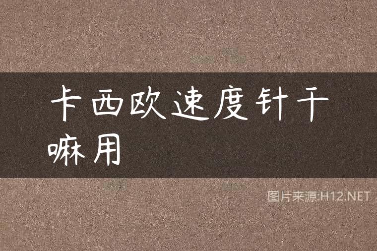 卡西欧速度针干嘛用