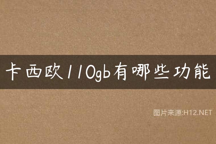 卡西欧110gb有哪些功能