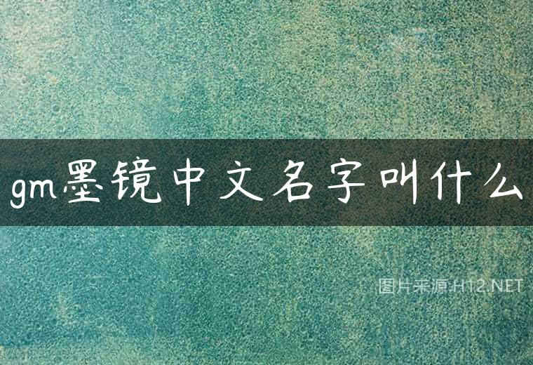 gm墨镜中文名字叫什么