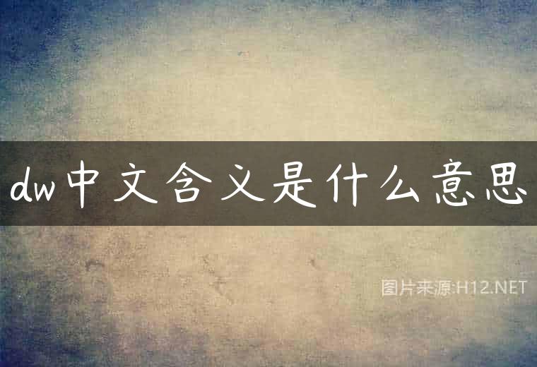 dw中文含义是什么意思
