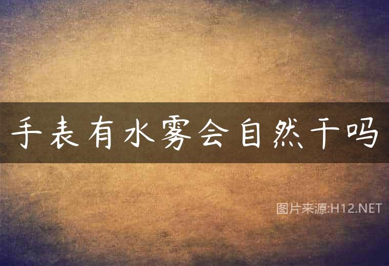 手表有水雾会自然干吗