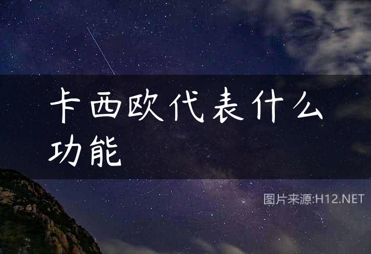 卡西欧代表什么功能