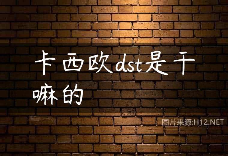 卡西欧dst是干嘛的