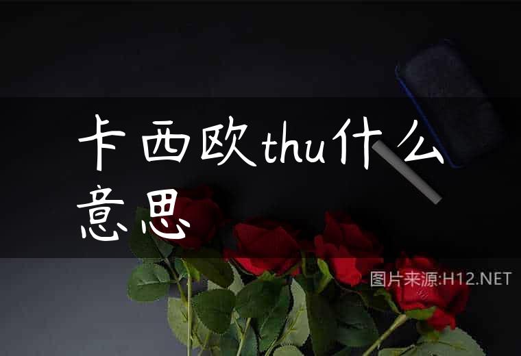 卡西欧thu什么意思