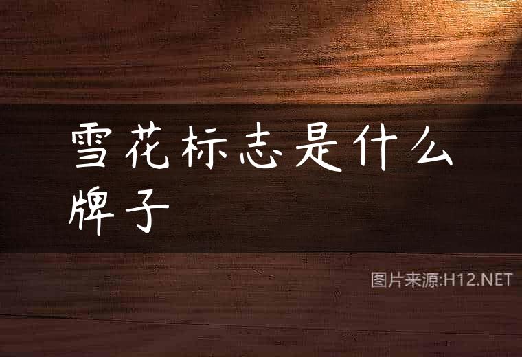 雪花标志是什么牌子