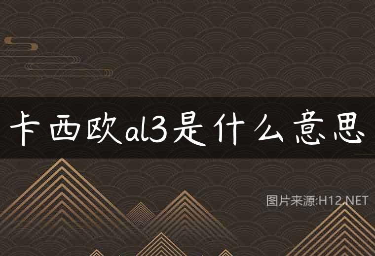 卡西欧al3是什么意思