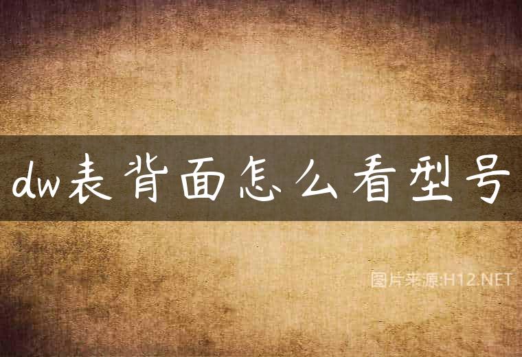 dw表背面怎么看型号