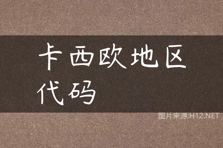 卡西欧地区代码