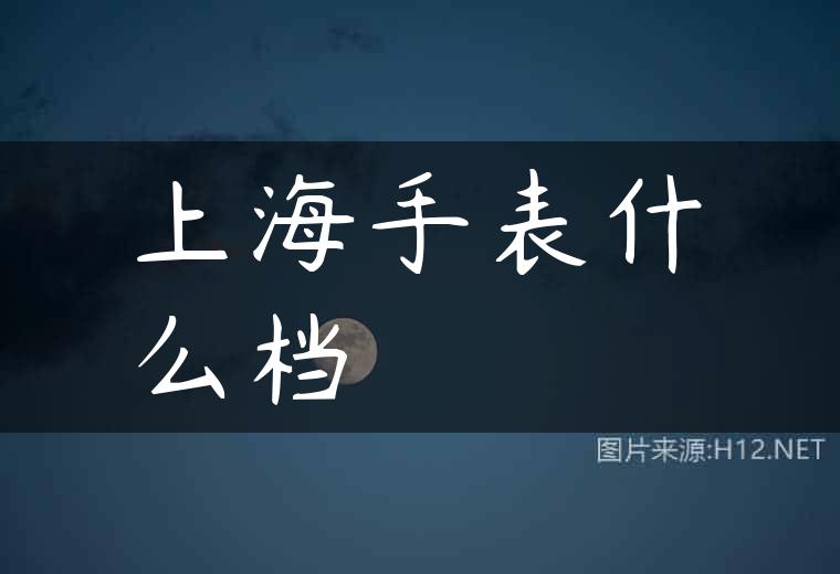 上海手表什么档