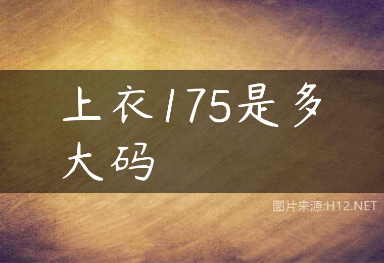 上衣175是多大码