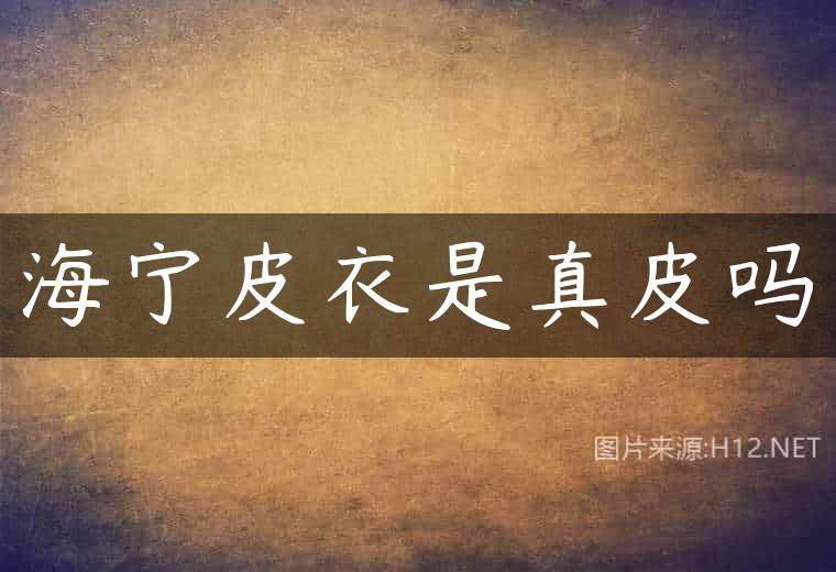 海宁皮衣是真皮吗