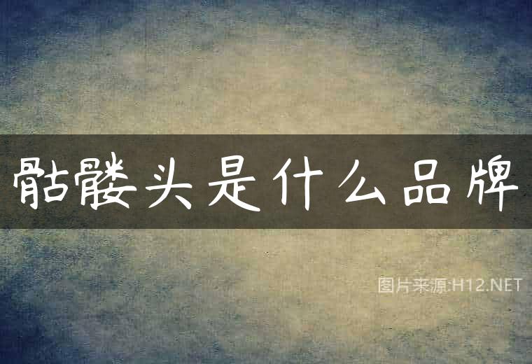 骷髅头是什么品牌