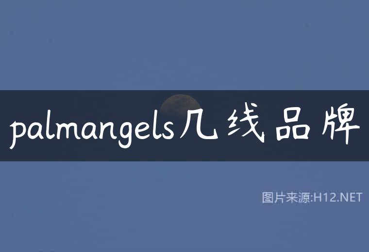 palmangels几线品牌