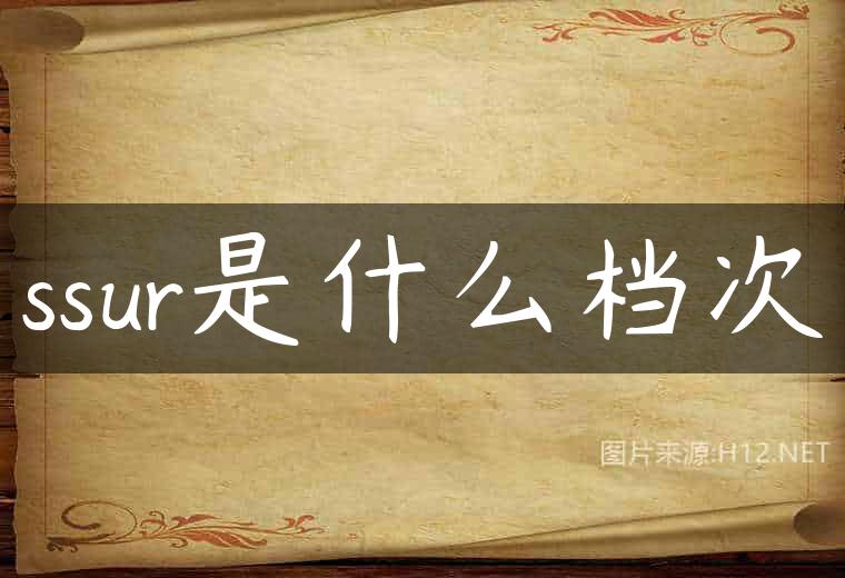 ssur是什么档次