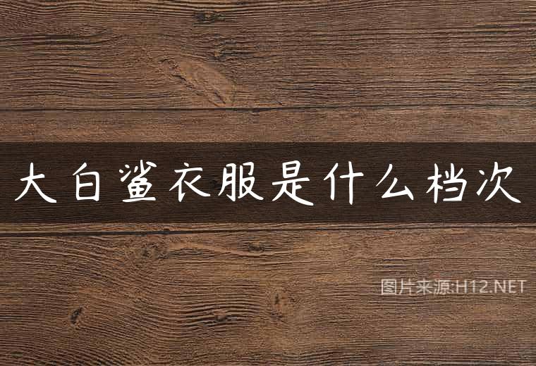 大白鲨衣服是什么档次
