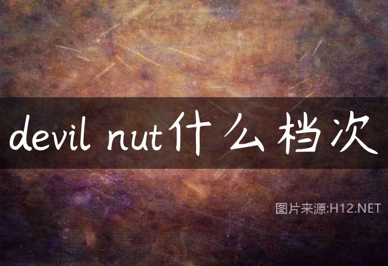 devil nut什么档次