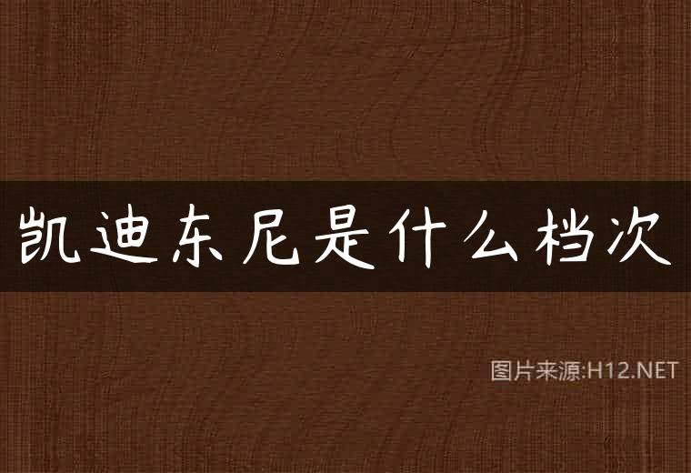 凯迪东尼是什么档次