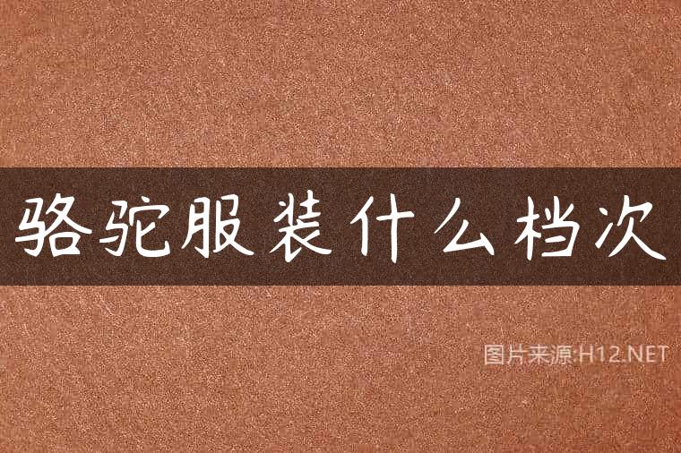 骆驼服装什么档次