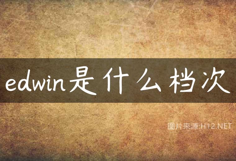 edwin是什么档次