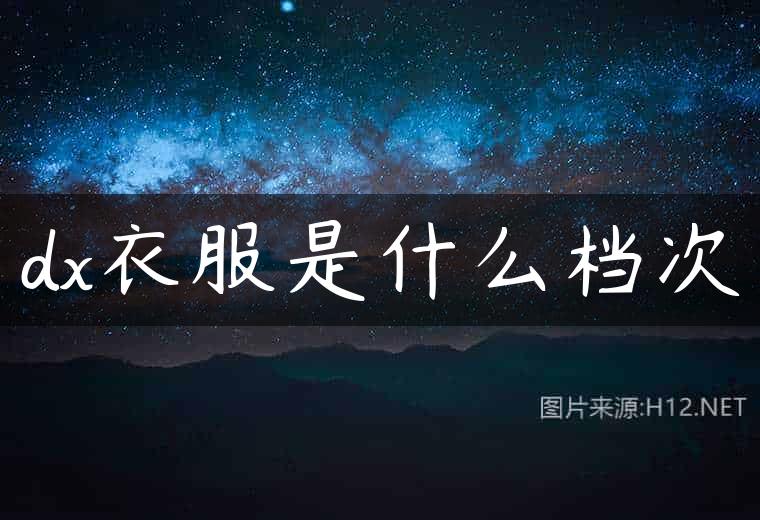 dx衣服是什么档次