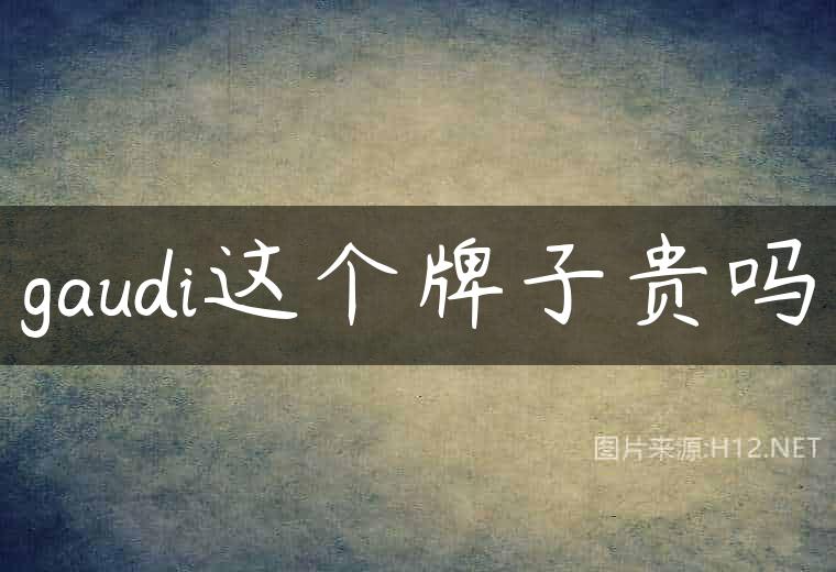 gaudi这个牌子贵吗