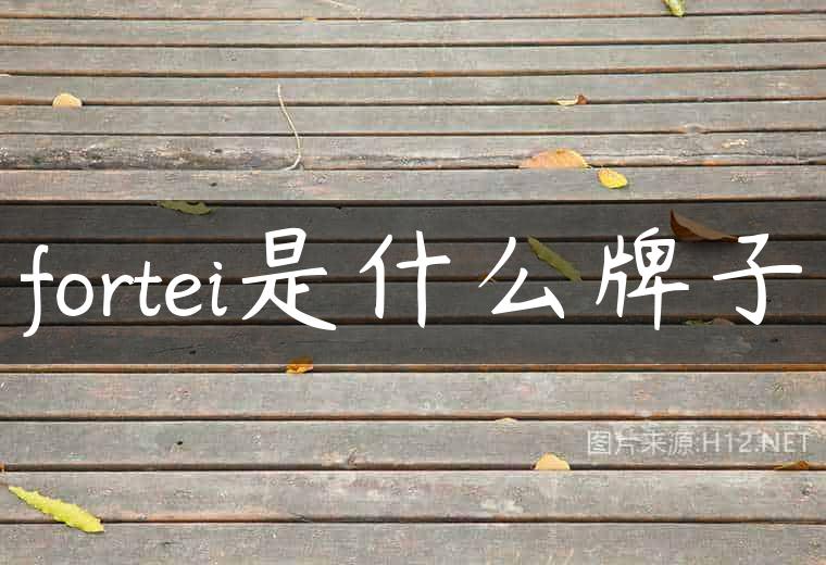 fortei是什么牌子