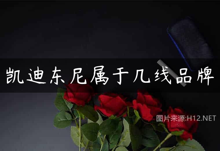 凯迪东尼属于几线品牌